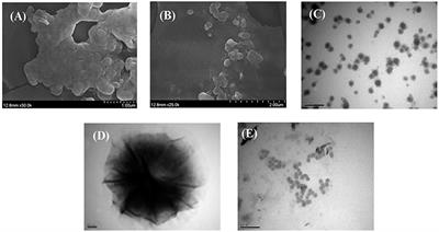 A Novel Hyaluronic Acid-Black Rice Anthocyanins Nanocomposite: Preparation, Characterization, and Its Xanthine Oxidase (XO)-Inhibiting Properties